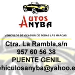 300x250_autosanyba-copia