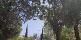 El Ayuntamiento cierra varios parques por intensas lluvias y fuerte viento