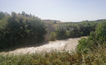 Las temperaturas se dispararán hasta los 43 grados en la primera semana de septiembre