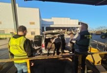 INFORMATIVOS, 17 Enero: Investigan a 4 individuos por robos en el campo, “sobre la mesa” el aparcamiento en el Pinal San Rafael (20.30 h)