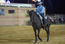 La XXXVII Exhibición de Doma Vaquera y Alta Escuela reunirá a destacados jinetes en la Feria Real de Puente Genil
